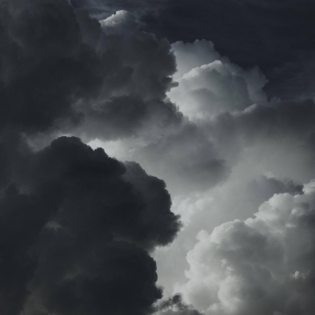 Klimakrise - Soziologe: Es droht der gesellschaftliche Zusammenbruch