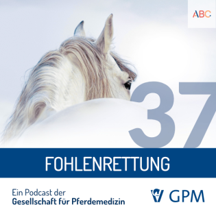 Fohlenrettung - Falsche Medikamentenabgabe