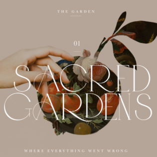 25/04/06 | The Garden where it all fell apart | Dave Schnitter