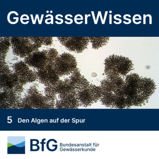 Den Algen auf der Spur