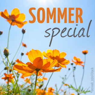 Geistlicher Brückenbau | Moritz Starke