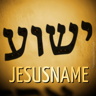 Jesus | Thomas Greiner