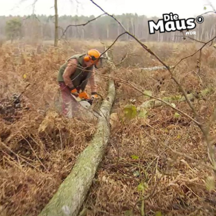 Rettet das Moor - Spektakuläre Klimaschutzaktion