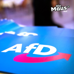 Ist die AfD gefährlich für die Demokratie?