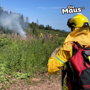 Feuerwehr legt Flächenbrand im Sauerland