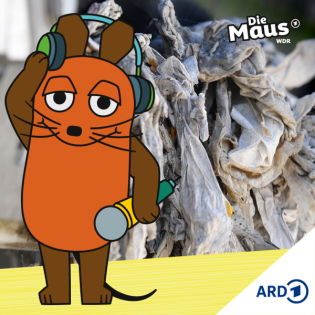 Nur Klopapier ins Klo