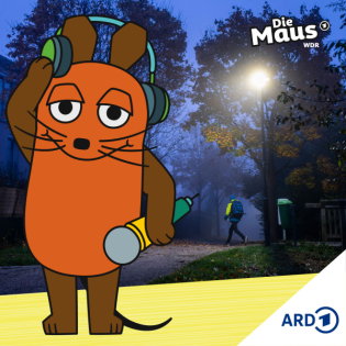 Schüler sorgt für Straßenlaternen auf dem Schulweg