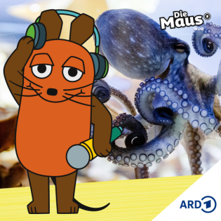 Oktopusse haben Lieblingsarme