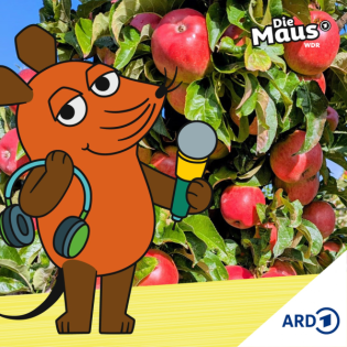 Sooo viele Äpfel – die Bäume in NRW hängen voll