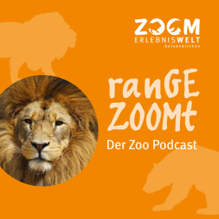 ranGEZOOMt - Winter im Zoo