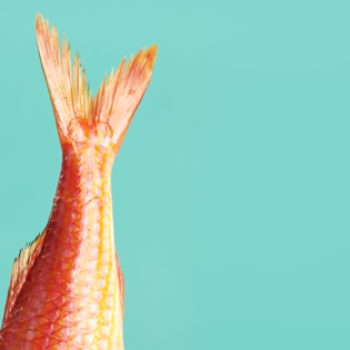 Die Kunst des Zuhörens - oder: Stasimethoden 2.0