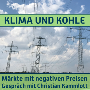 #163 Märkte mit negativen Preisen. Gespräch mit Christian Kammlott