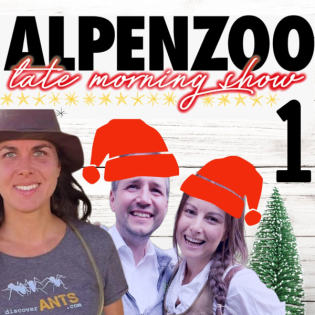 Das große Krabbeln mit Ameisen-Expertin Dr. Magdalena Sorger | Der akustische Alpenzoo Adventkranz ️