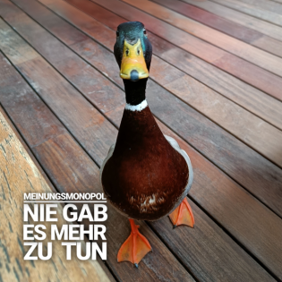 Kommunalwahl-Game mit Sven und Robert (Wochenendepisode)