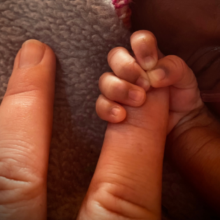 Der Wert kleinen Lebens - mit Carolina Schrodt