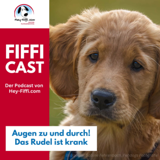 Augen zu und durch! - Das Rudel ist krank