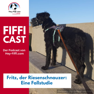 Fritz, der Riesenschnauzer: Eine Fallstudie