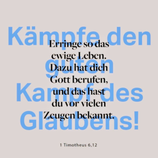 Die heilsamen Gebote