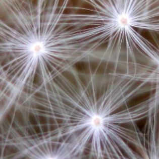 Die Einheit bewahren