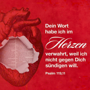 Gottes Aussprüche lieben lernen