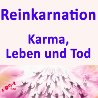 Wiedergeburt – Bhagavad Gita VI. 41