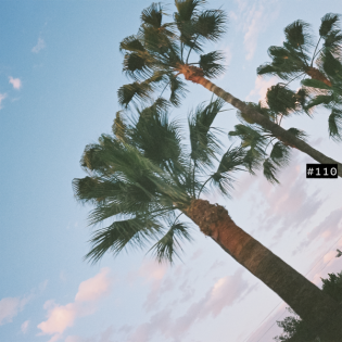 #110 - Tauchen vor Mallorca mit der DJI Osmo Action 5 🤿