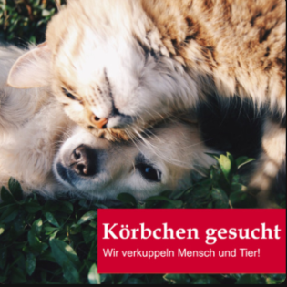 Körbchen gesucht vom 28.05.2025 - die Hasenbande