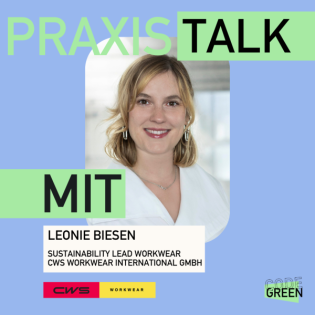 ESG im Mittelstand: Wie man ökologische und soziale Verantwortung strategisch im Unternehmen verankert 