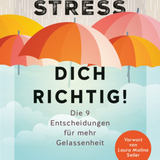 Stress dich richtig! Die 9 Entscheidungen für mehr Gelassenheit