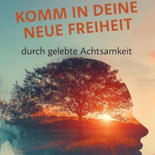 Komm in deine neue Freiheit: durch gelebte Achtsamkeit von Werner Buchberger