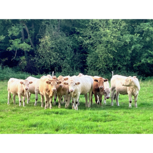 Frei 21.03.25 – 22 Uhr • klingding radio • pick up the tracks #2 • FSK 93,0 Mhz + DAB+