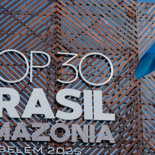 Die Welt-Klimakonferenzen sind vielleicht besser, als man denkt!