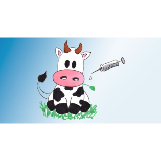 Die echten Pocken – Variola major