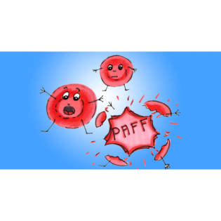 Glukose-6-Phosphat-Dehydrogenase Mangel und Anästhesien