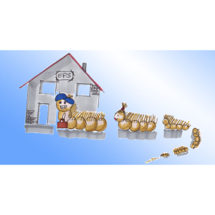 Eichenprozessionsspinner – In da House!