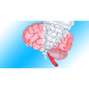 Malignes neuroleptisches vs. Serotonin-Syndrom