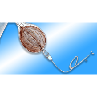 Kokosnuss als Infusionslösung