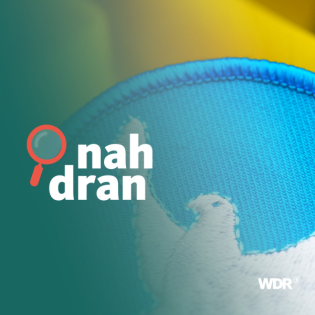 Ukraine unter Druck: Was Trumps "Friedensplan" verändert I nah dran