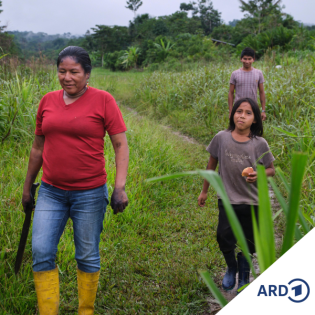 Wissen trinken gibt uns Wasser, Ecuador (3/10)