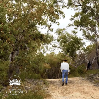 Ians Tipps und Alltagspraktiken für das tägliche Wohlbefinden
