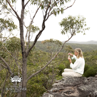 Starten Sie mit Schwung in den neuen Jahreszyklus