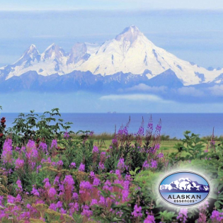 Unterstützung bei der Gestaltung unserer Zukunft