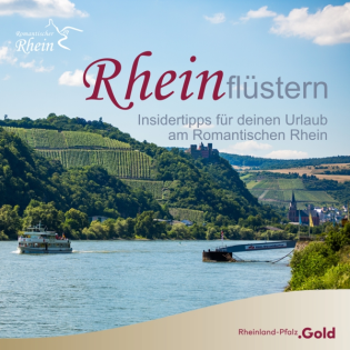 Die größte Rheinschleife und die größte Rebfläche im Mittelrheintal - Auf Erkundungstour in Boppard