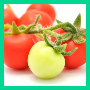 Wenn's grüne Tomaten gibt, gibt's dann auch grünes Ketchup?