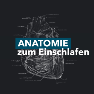 Untere Extremität - Gelenke QA