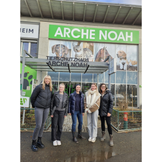 497 Die Arche Noah
