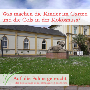 Was machen die Kinder im Garten und die Cola in der Kokosnuss?