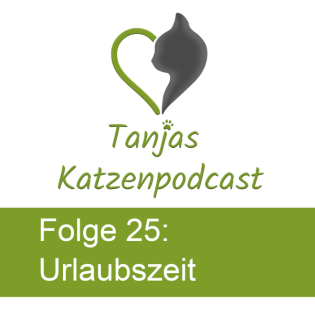 Urlaubszeit – Was passiert mit der Katze?