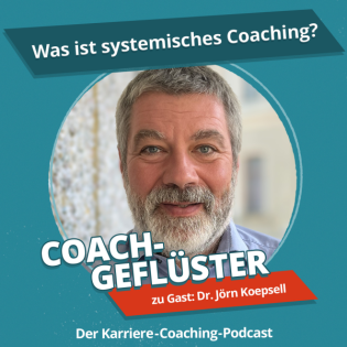 Was ist systemisches Coaching?