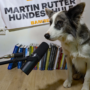 Folge 1: Grundsätzliches zum Hundetraining